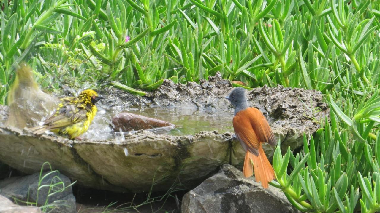Kingfishers Khaya Sodwana Bay Exterior photo